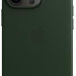 Apple Skórzane etui iPhone 13 Pro zielona sekwoja