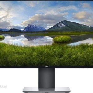 Monitor Dell U2421HE (210-AWLC)