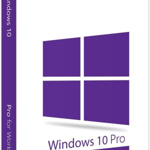 Microsoft Windows 10 Pro for Workstation (100374DE)