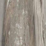 Ragno Bistrot Cremo Delicato Rekt. Glossy 72x145