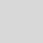Siedle Domofon 200044423-00 BFC8500WHW