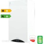 Termet 2Fun. Minimax Eco 22/22Kw 3P-G31 Wkd4343000000Pl